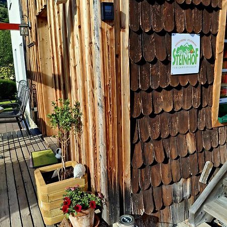ザンクト・ローレンツェン・オプ・ムーラウ Haus Steinhofヴィラ エクステリア 写真