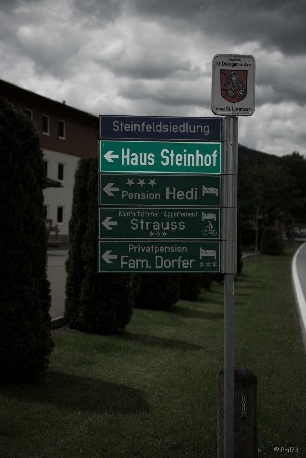 ザンクト・ローレンツェン・オプ・ムーラウ Haus Steinhofヴィラ エクステリア 写真