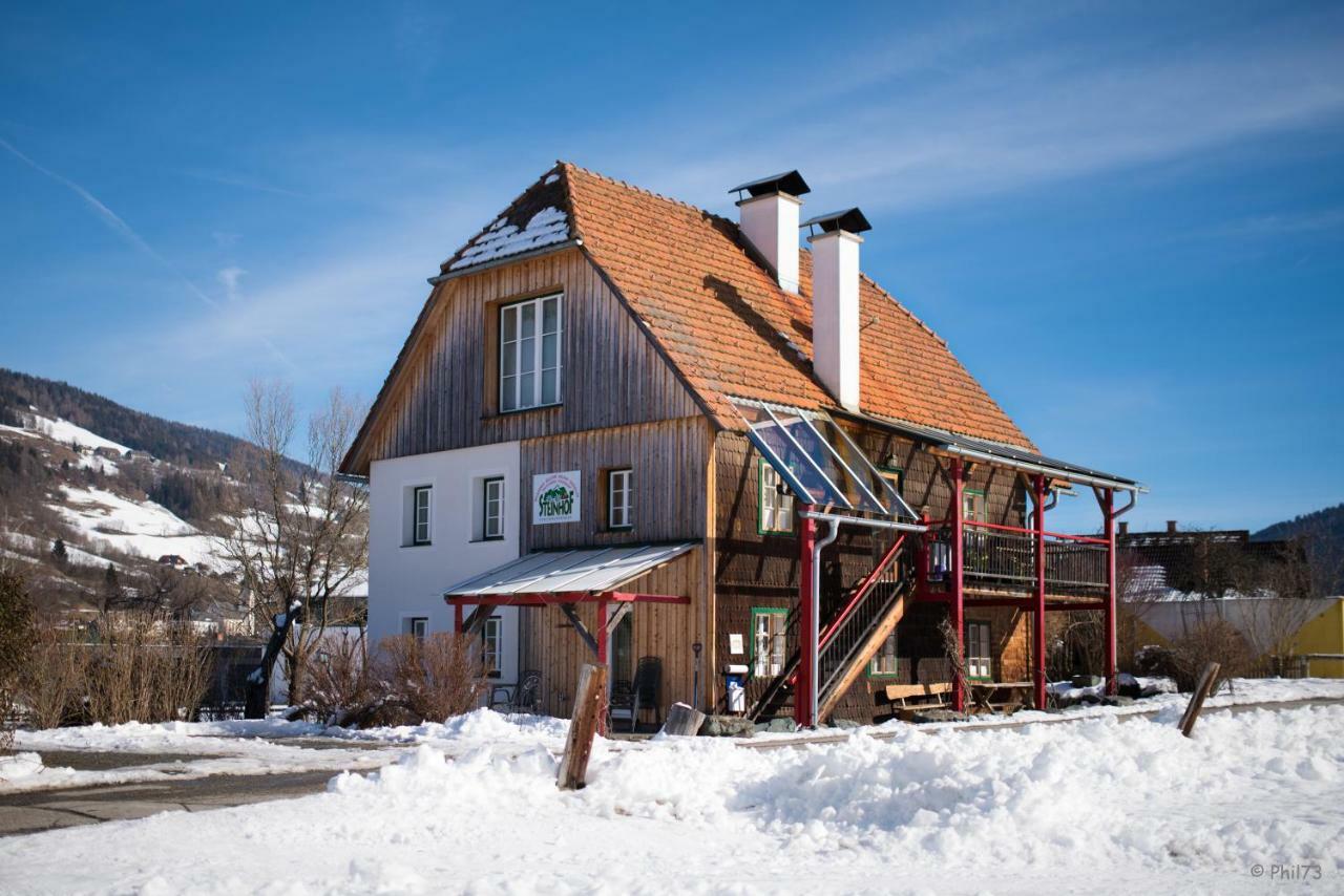 ザンクト・ローレンツェン・オプ・ムーラウ Haus Steinhofヴィラ エクステリア 写真